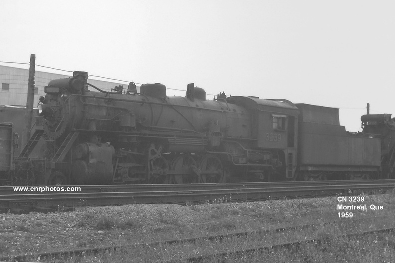 3239s.jpg