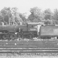 5559s