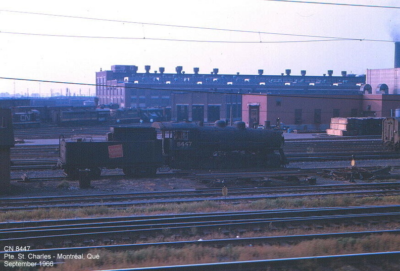 8447s.jpg