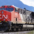 3067