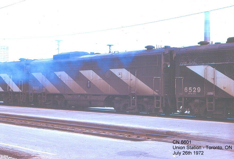 6601.jpg